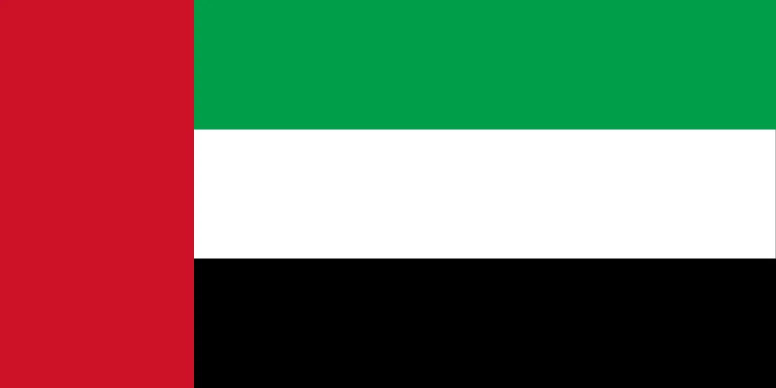 language flag